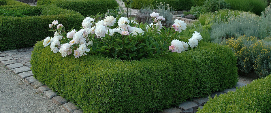 Jardin Médiéval