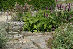 Le jardin de simples